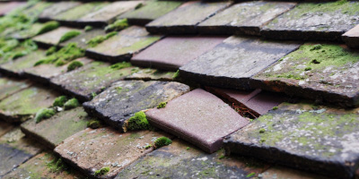 Fforest roof repair costs